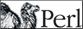 Perl Professional
